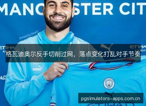 格瓦迪奥尔反手切削过网，落点变化打乱对手节奏