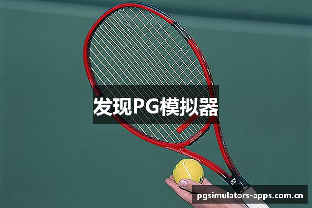 发现PG模拟器
